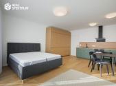 Pronájem bytu, 1+kk, 47 m²