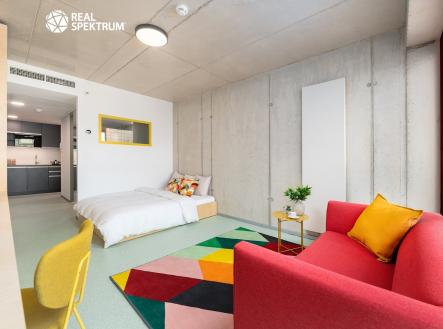 Pronájem bytu, 1+kk, 24 m²