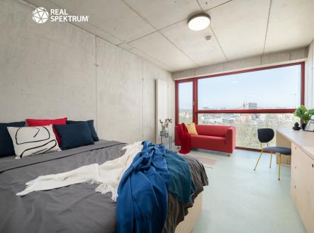 Pronájem bytu, 1+kk, 27 m²