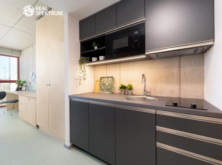 Pronájem bytu, 1+kk, 27 m²