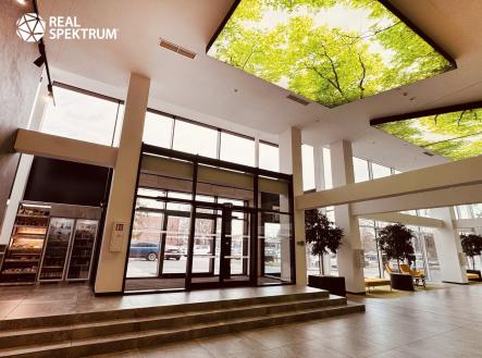 Pronájem kanceláře, 408 m²