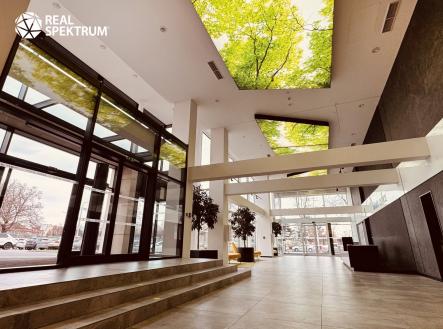 Pronájem kanceláře, 408 m²