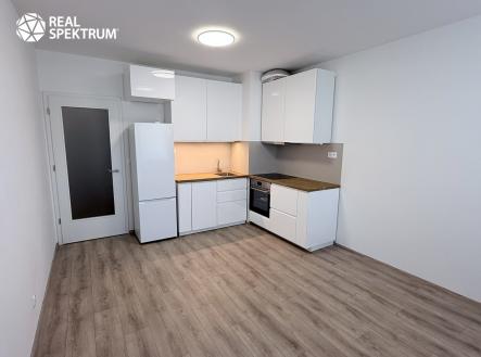 Pronájem bytu, 1+kk, 44 m²