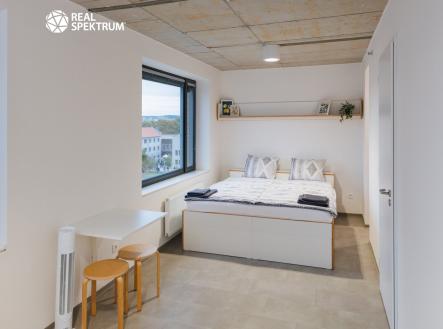 Pronájem bytu, 1+kk, 24 m²