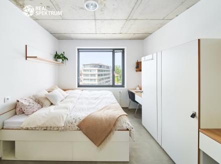 Pronájem bytu, 1+kk, 24 m²
