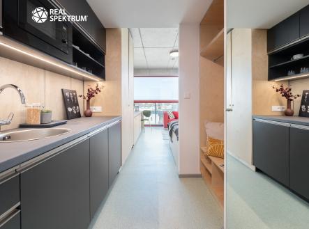 Pronájem bytu, 1+kk, 24 m²