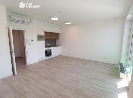 Pronájem bytu, 1+kk, 42 m²