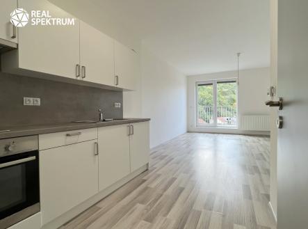 Pronájem bytu, 1+kk, 45 m²