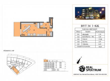 Pronájem bytu, 1+kk, 45 m²