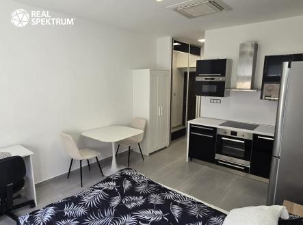 Pronájem bytu, 1+kk, 24 m²
