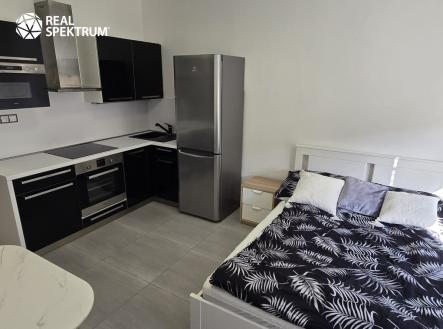 Pronájem bytu, 1+kk, 24 m²