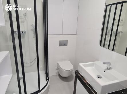 Pronájem bytu, 1+kk, 32 m²
