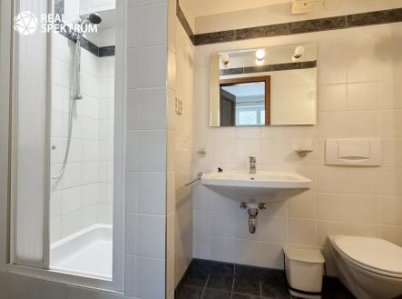 Pronájem bytu, 2+kk, 47 m²