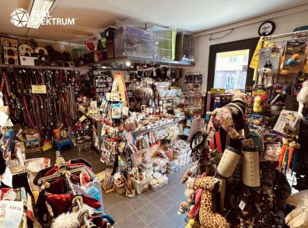 Pronájem obchodní prostor, 47 m²