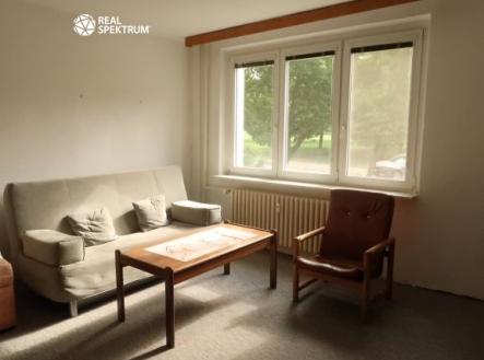 Pronájem bytu, 1+1, 42 m²