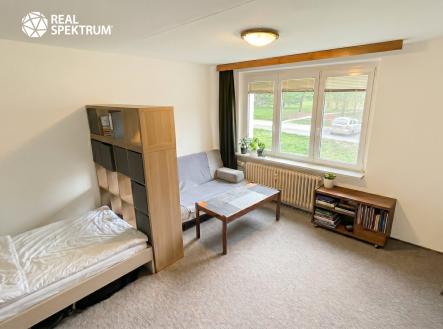 Pronájem bytu, 1+1, 42 m²