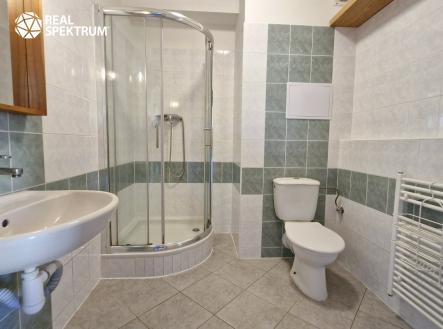 Pronájem bytu, 1+kk, 30 m²