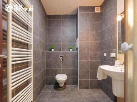 Prodej bytu, 1+kk, 45 m²