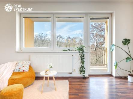 Prodej bytu, 1+kk, 45 m²