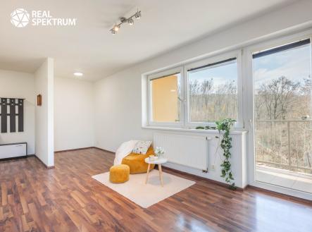 Prodej bytu, 1+kk, 45 m²