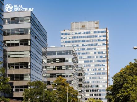 Pronájem obchodní prostor, 177 m²