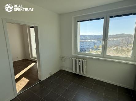 Pronájem bytu, 1+1, 42 m²