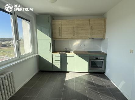 Pronájem bytu, 1+1, 42 m²