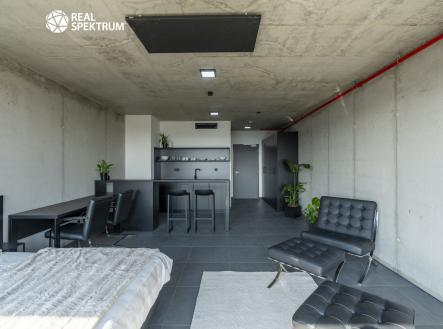 Pronájem bytu, 1+kk, 35 m²