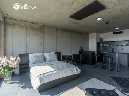 Pronájem bytu, 1+kk, 44 m²