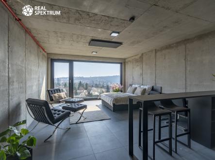 Pronájem bytu, 1+kk, 44 m²