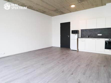 Pronájem bytu, 1+kk, 45 m²