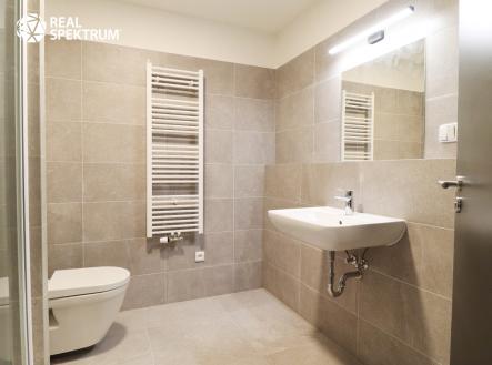 Pronájem bytu, 1+kk, 45 m²