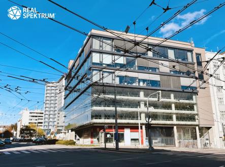 Pronájem kanceláře, 256 m²