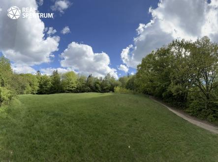 Prodej pozemku, trvalý travní porost, 4 838 m²