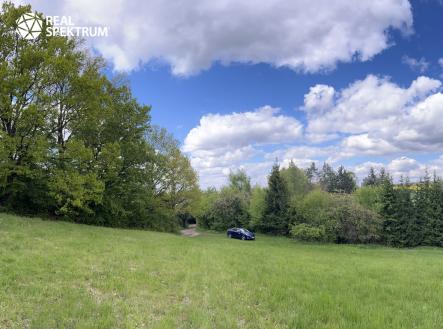Prodej pozemku, trvalý travní porost, 4 838 m²