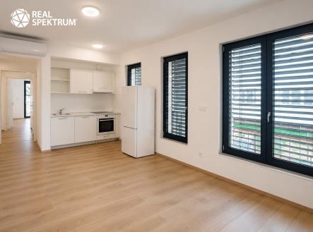 Pronájem bytu, 2+kk, 42 m²