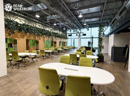 Pronájem kanceláře, 70 m²