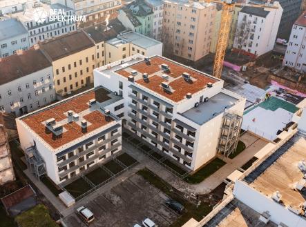 Pronájem bytu, 1+kk, 31 m²
