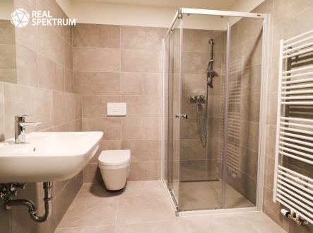 Pronájem bytu, 1+kk, 44 m²