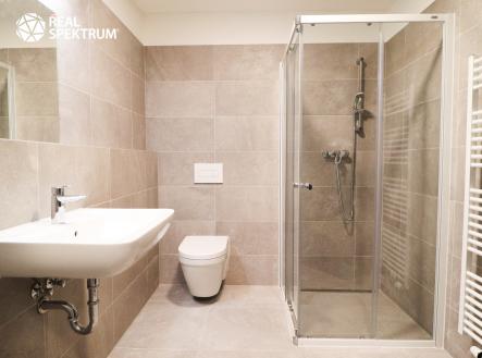 Pronájem bytu, 1+kk, 39 m²