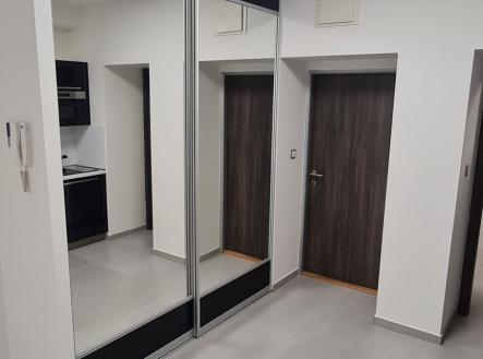 Pronájem bytu, 1+kk, 27 m²