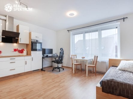 Prodej bytu 1+kk 34 m², Brno - Židenice
