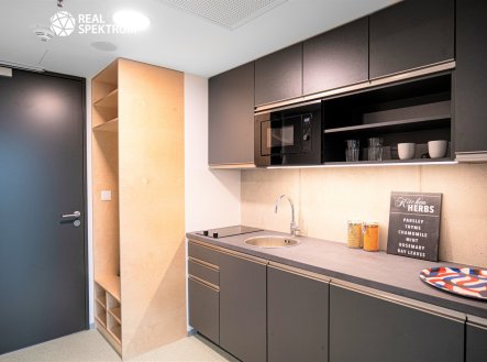 Pronájem bytu, 1+kk, 24 m², Brno – náhled fotky 4
