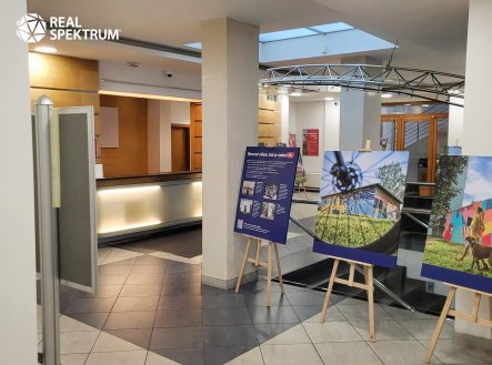 Pronájem kanceláře, 891 m²