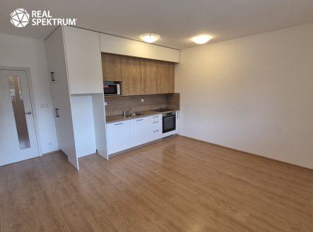 Pronájem bytu, 2+kk, 50 m²