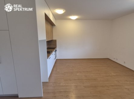 Pronájem bytu, 2+kk, 53 m²