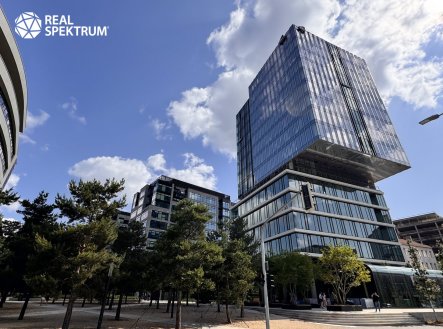 Pronájem kanceláře, 348 m²