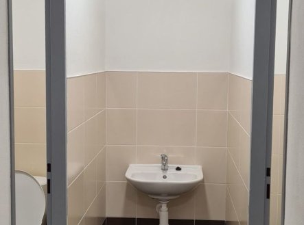 Pronájem komerčního objektu, sklad, 265 m²