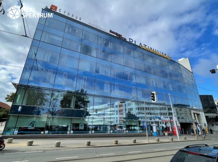 Pronájem kanceláře, 221 m²