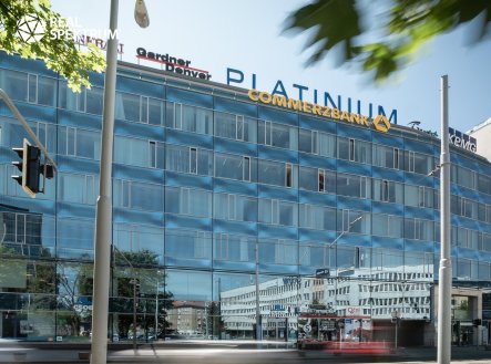 Pronájem kanceláře, 219 m²